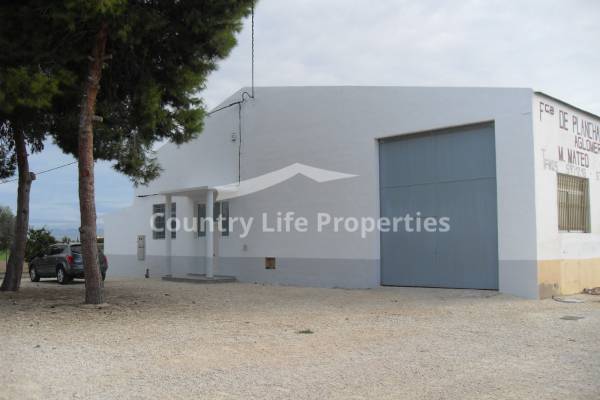Commercial - Long term rental - Dolores - Countryside