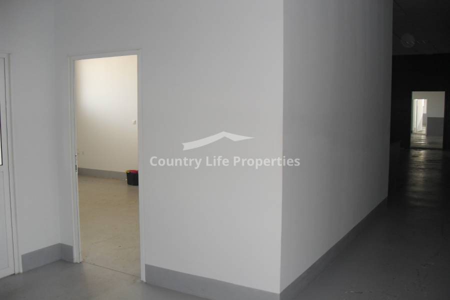 Long term rental - Commercial - Dolores - Countryside