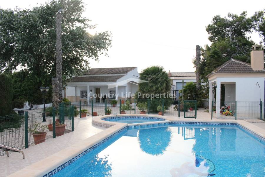 Resale - Commercial - Dolores - Countryside