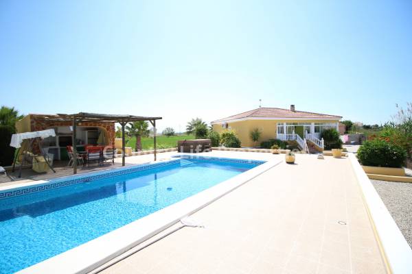 Chalet - Revente - Catral - Countryside 