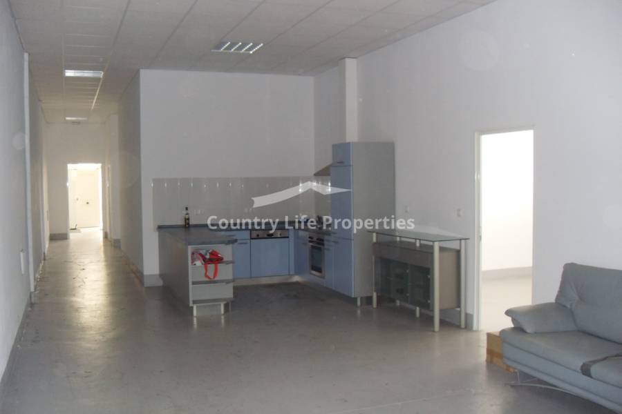 Long term rental - Commercial - Dolores - Countryside