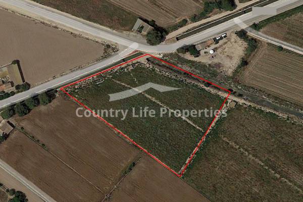 Plot - Resale - Dolores - Countryside