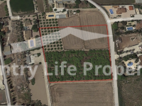 Resale - Plot - Catral - Countryside 