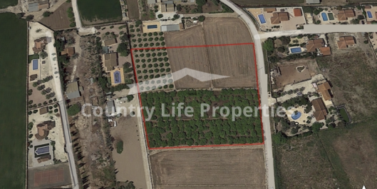 Terrain - Revente - Catral - Countryside 