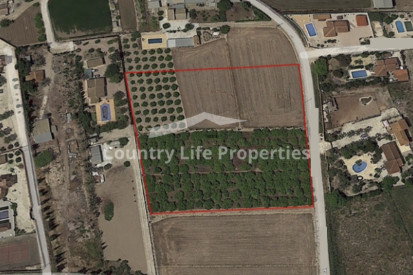 Plot - Resale - Catral - Countryside 