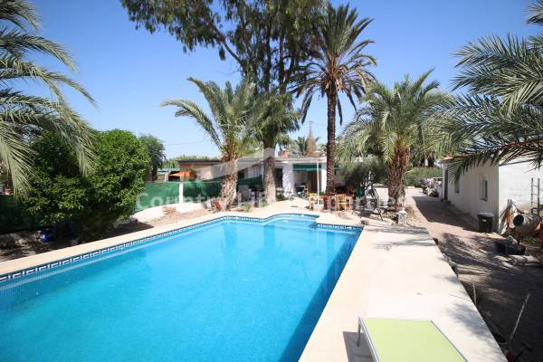 Country house - Resale - Elche - Countryside