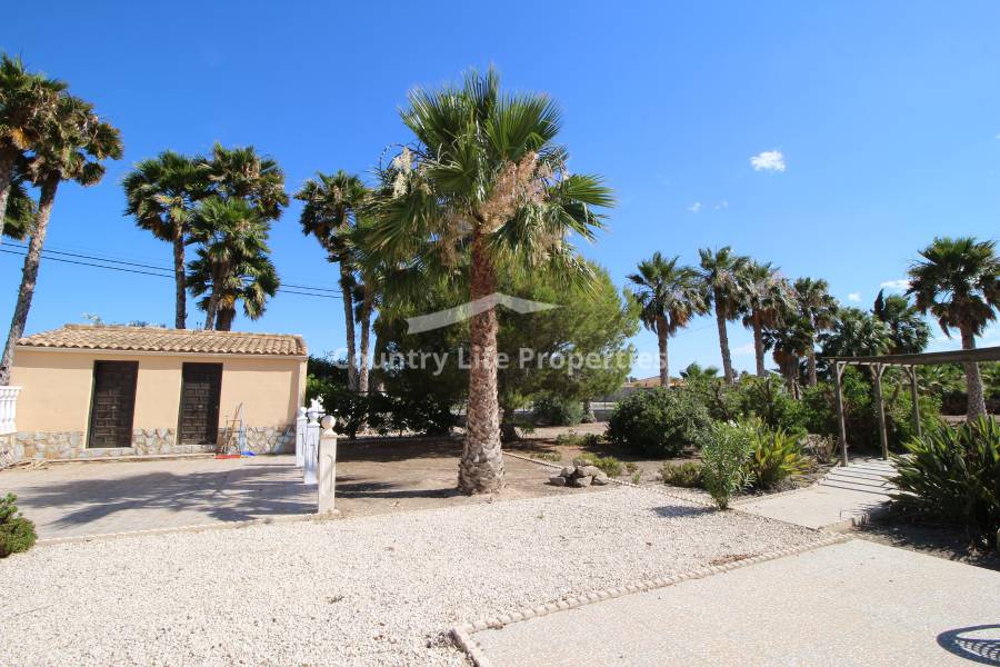 Resale - Villa - Catral - Countryside 