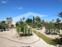 Revente - Chalet - Catral - Countryside 