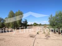 Resale - Country house - Elche - Matola 