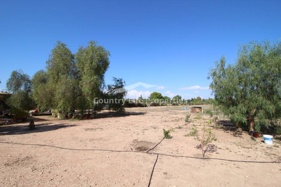 Revente - Maison de campagne - Elche - Matola 