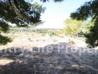 Resale - Country house - Elche - Matola 