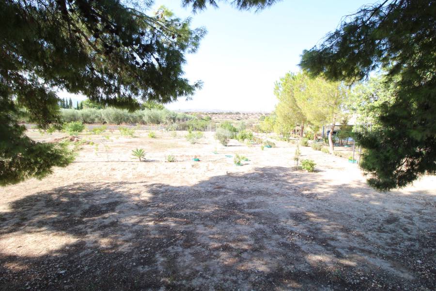 Resale - Country house - Elche - Matola 