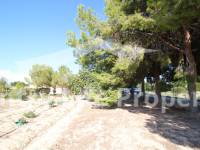 Resale - Country house - Elche - Matola 