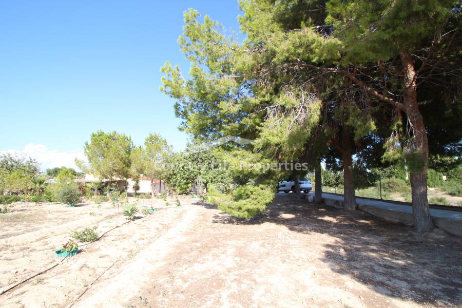 Resale - Country house - Elche - Matola 