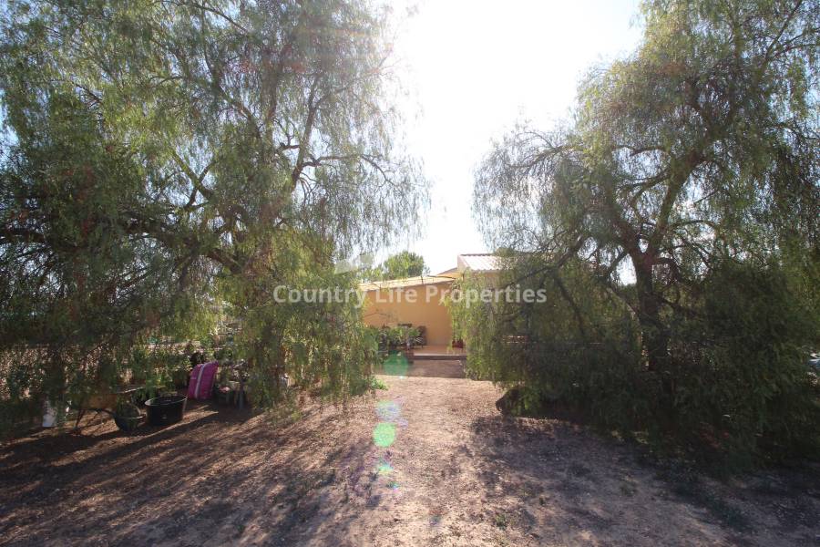 Resale - Country house - Elche - Matola 