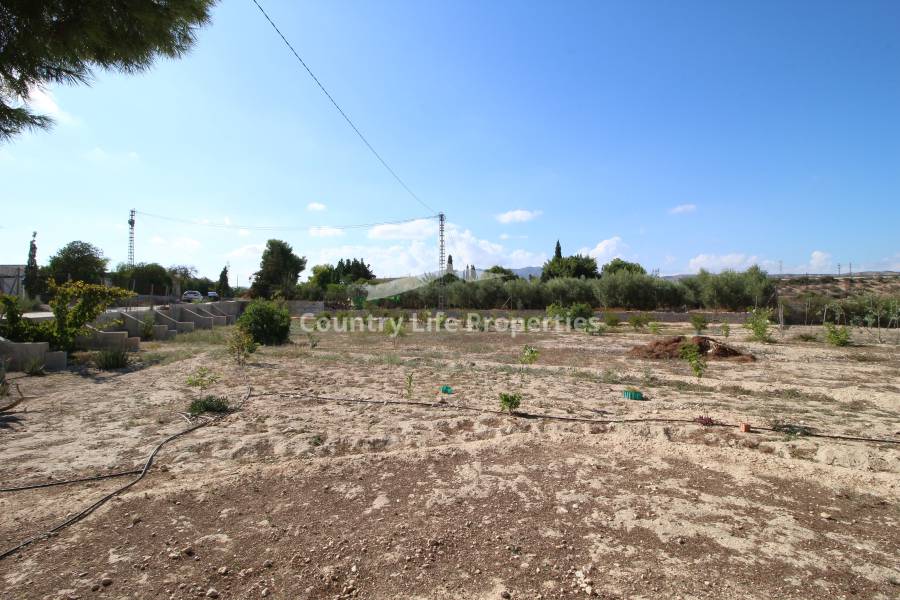 Перепродажа - Деревенский дом - Elche - Matola 