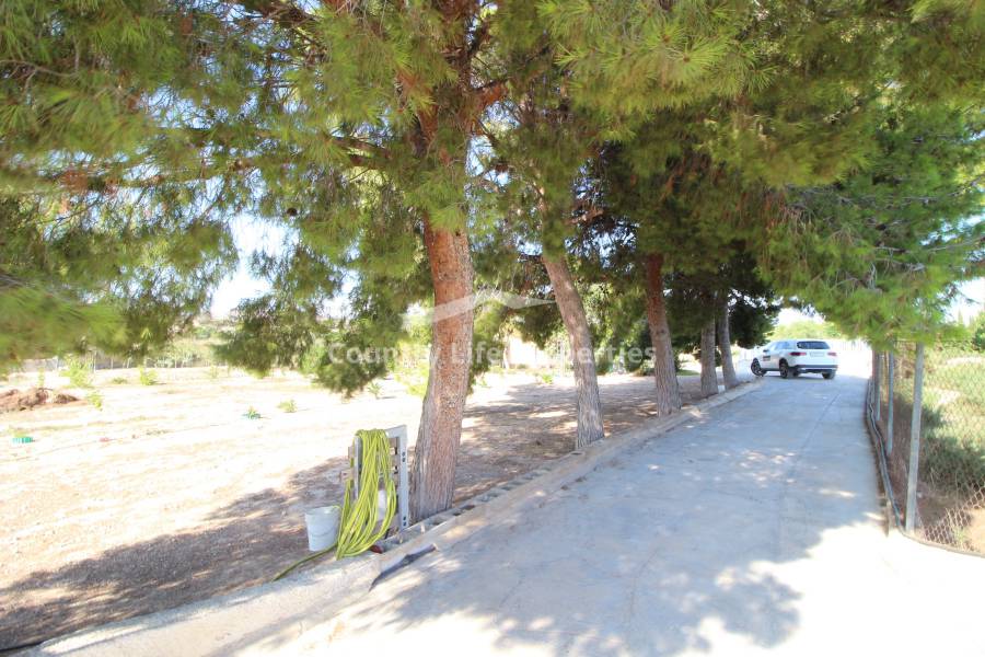 Resale - Country house - Elche - Matola 