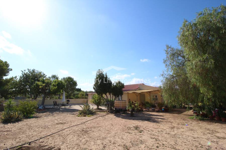 Resale - Country house - Elche - Matola 