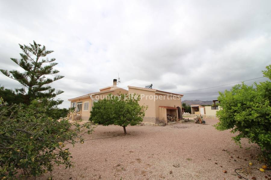 Segunda Mano - Chalet - Albatera - El Campo