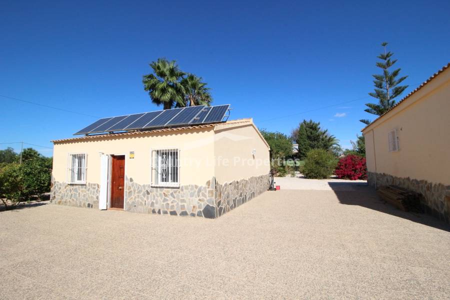 Segunda Mano - Casa de campo - Catral - Campo 