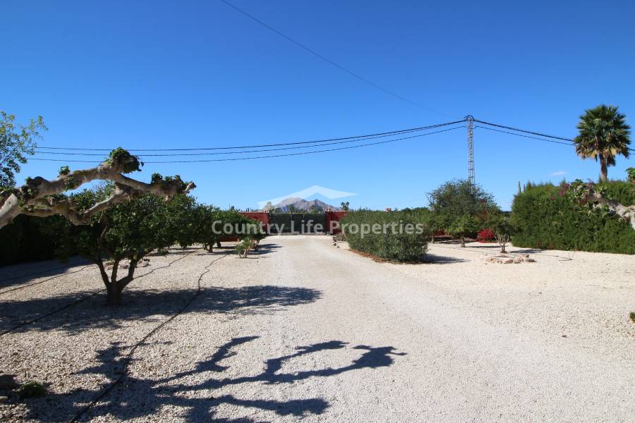 Resale - Villa - Catral - Countryside 