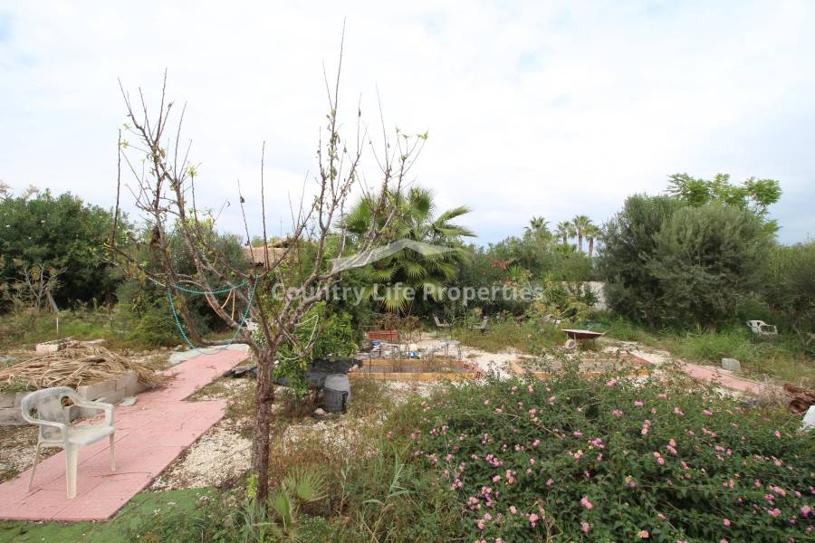 Resale - Country house - Catral - Countryside 