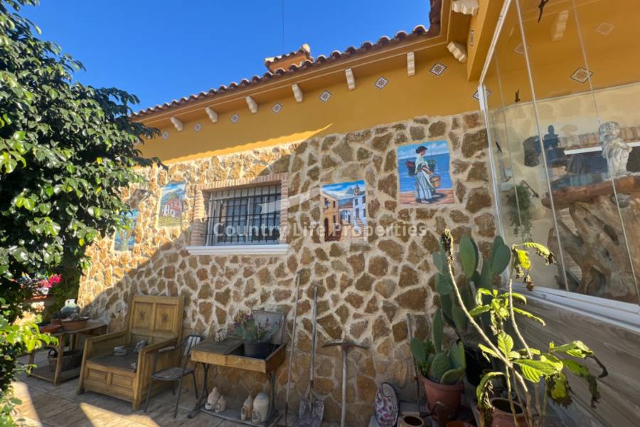 Resale - Villa - Catral - Countryside 