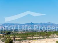 Nouvelle construction - Chalet - Algorfa  - Golf 