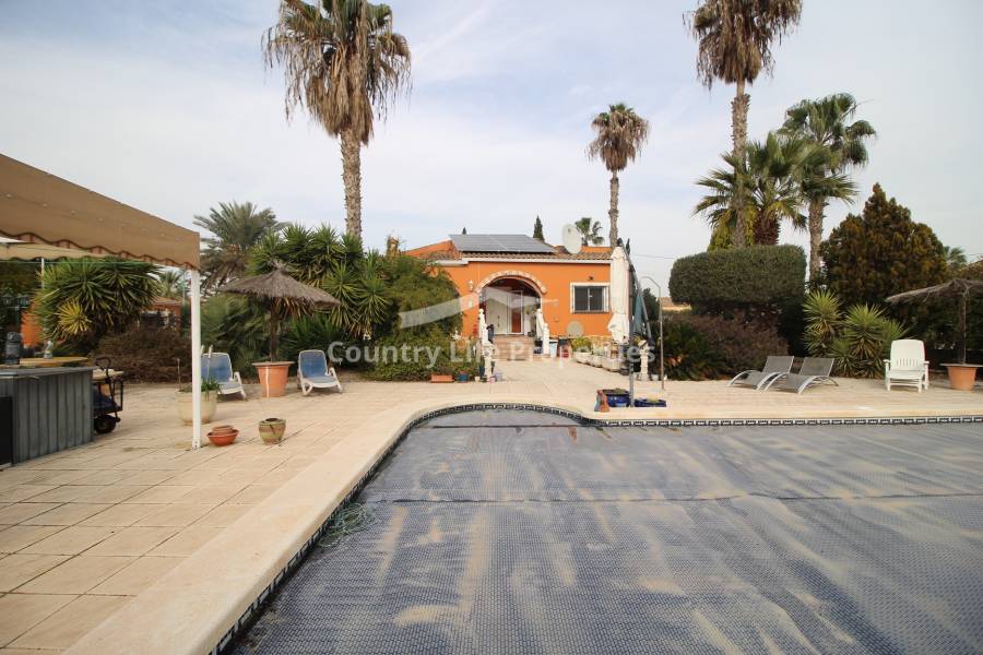 Resale - Villa - Catral - Countryside 