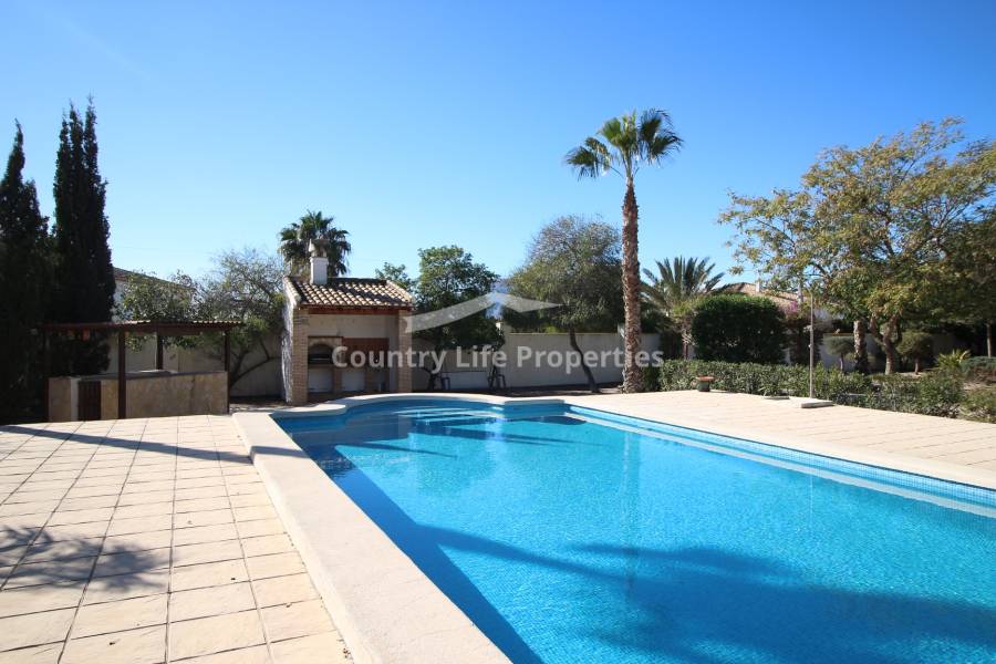 Resale - Villa - Catral - Countryside 