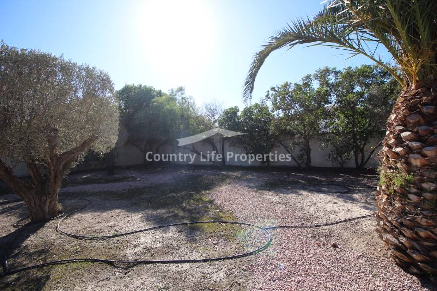 Resale - Villa - Catral - Countryside 