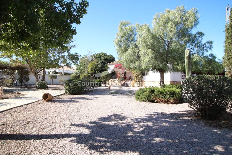 Resale - Villa - Catral - Countryside 