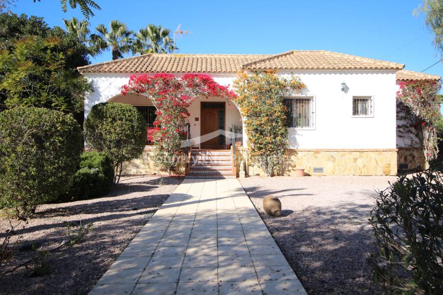 Resale - Villa - Catral - Countryside 