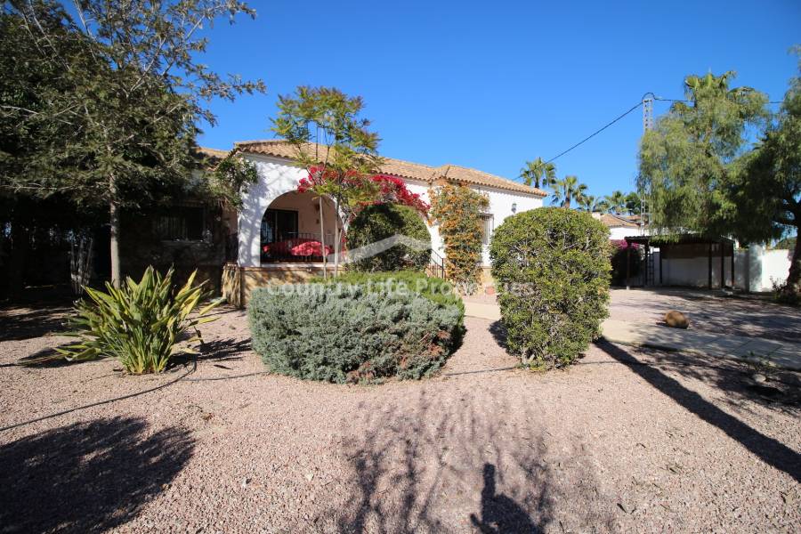 Revente - Chalet - Catral - Countryside 