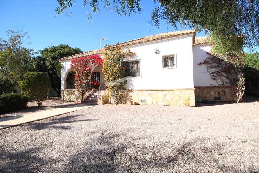 Resale - Villa - Catral - Countryside 