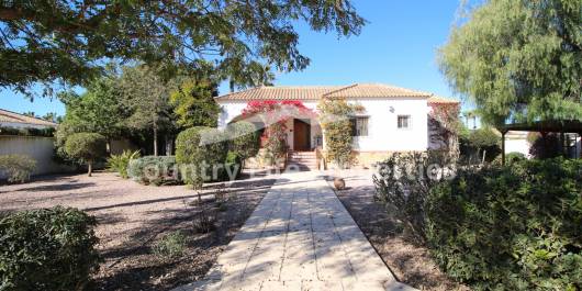 Villa - Resale - Catral - Countryside 