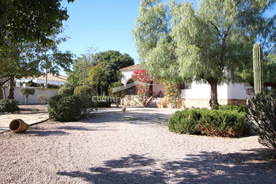 Revente - Chalet - Catral - Countryside 