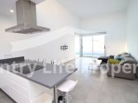 Long term rental - Quad / Semi detached - Dolores - Nuevo Sector 