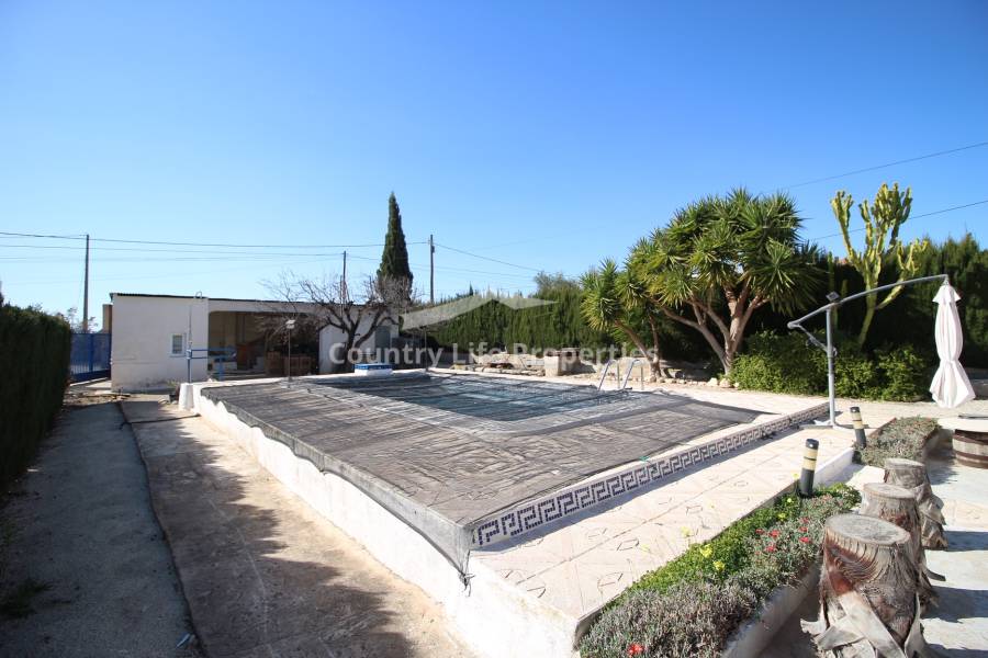 Wederverkoop - Finca - Crevillente