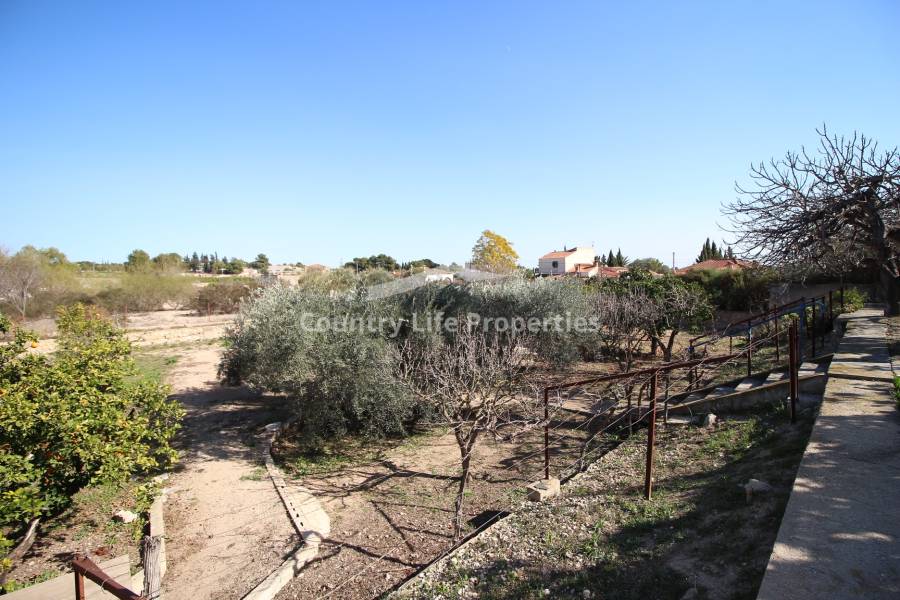 Wederverkoop - Finca - Crevillente