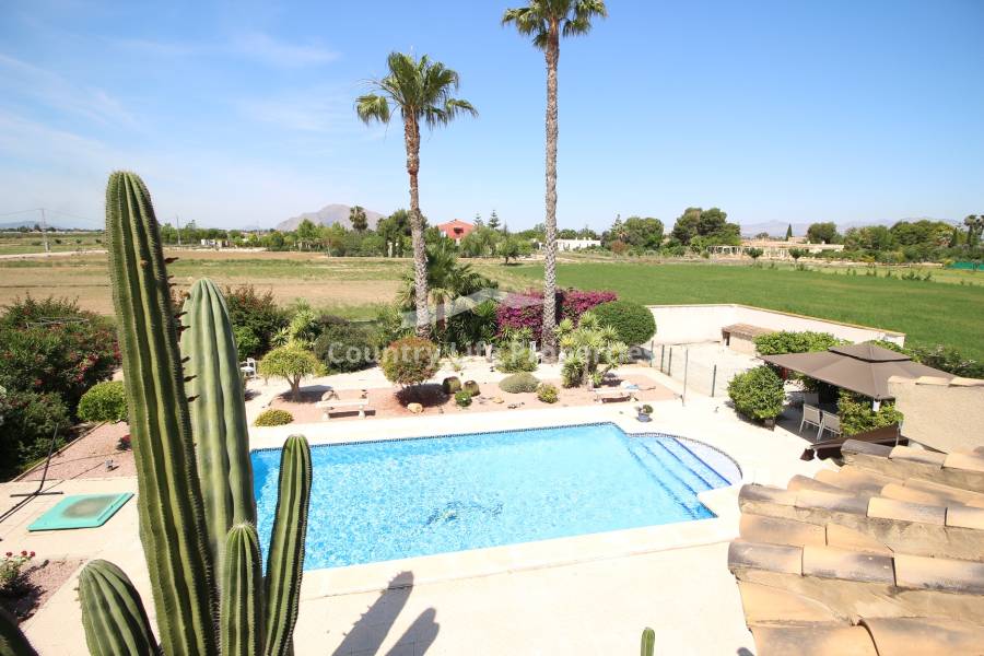 Revente - Chalet - Catral - Countryside 