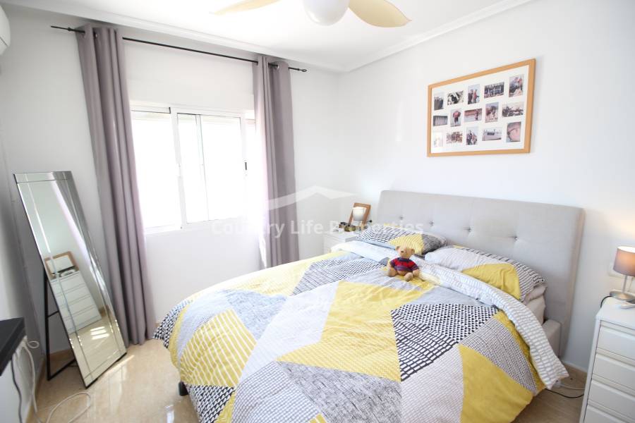 Revente - Chalet - Catral - Countryside 