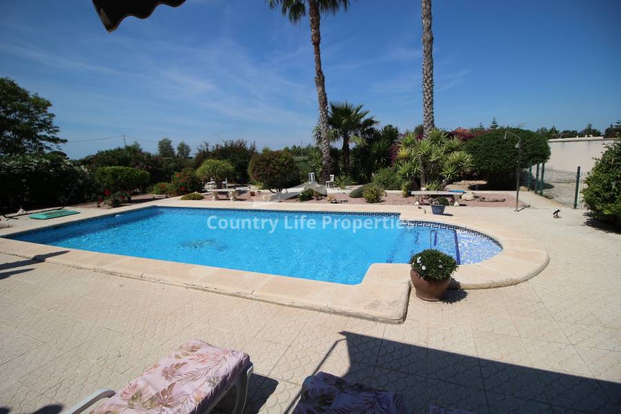 Revente - Chalet - Catral - Countryside 