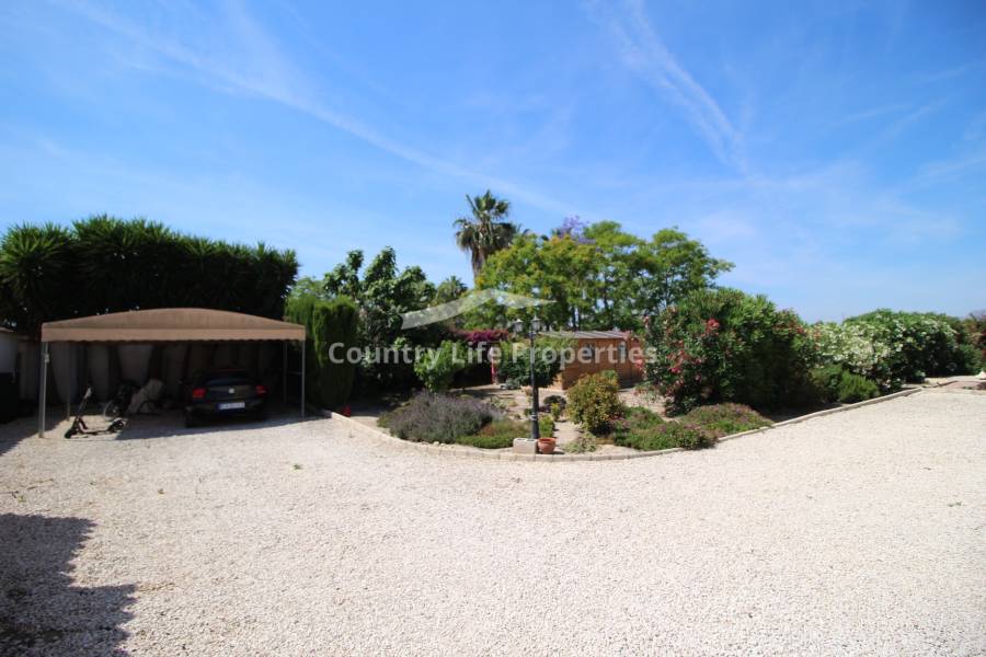 Revente - Chalet - Catral - Countryside 