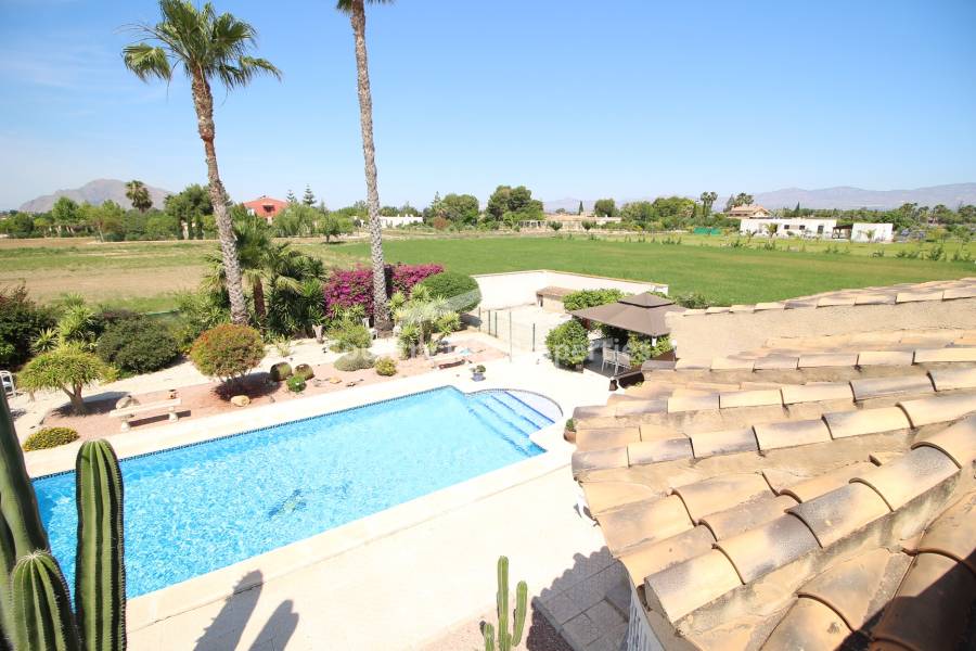 Revente - Chalet - Catral - Countryside 