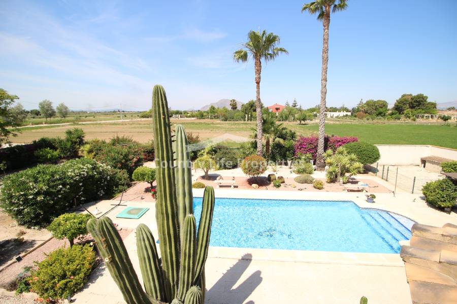 Revente - Chalet - Catral - Countryside 