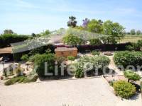 Revente - Chalet - Catral - Countryside 