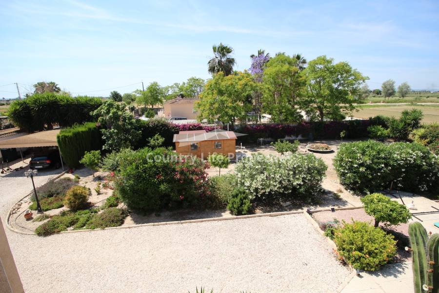 Revente - Chalet - Catral - Countryside 