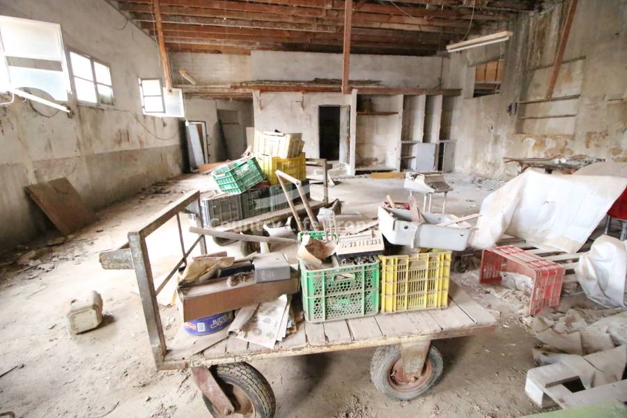 Segunda Mano - Nave - Almoradi - El Pueblo