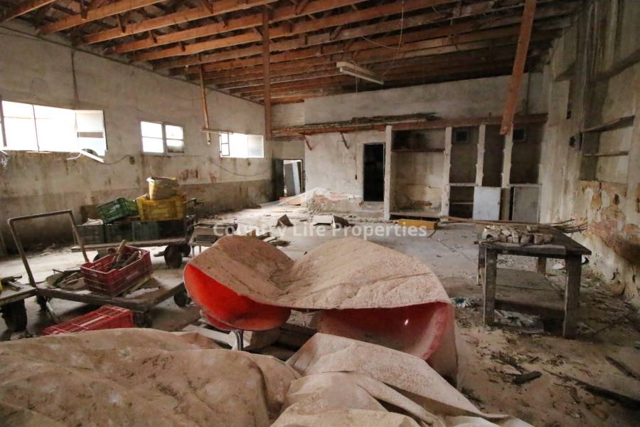 Segunda Mano - Nave - Almoradi - El Pueblo